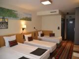 Superior Family room Resort View