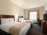 Business Quadruple room