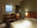 Superior Single room with city view