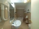 Deluxe Double room with garden view