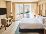 Premium Double room with view