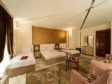 Superior room with city view