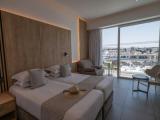 Premium Double room with balcony and with view
