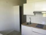 Economy Studio