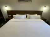 Standard Double room with garden view