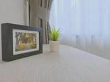 Executive Double Suite
