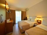 Standard Quadruple room with land view