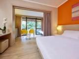 Standard Double room with garden view