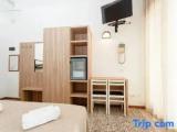 Standard Triple Family room