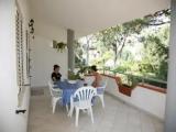 Apartment with garden view