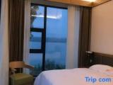 Standard Double room with lake view