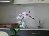 1 Bedroom Apartment with balcony and with garden view