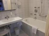 Standard Double room with balcony and with garden view