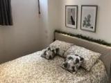 1 Bedroom Double Apartment