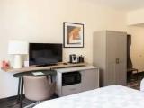 Premium Quadruple room with pool view