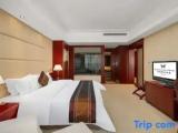 Executive Double Suite