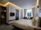 Deluxe Double room with mountain view