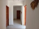 Standard Studio