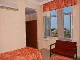 Standard Double room with pool view