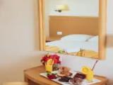 Standard Double room with balcony and with garden view