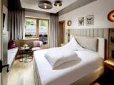 Standard Single room with balcony and with mountain view