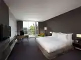Premium Deluxe Double room with balcony and with park view