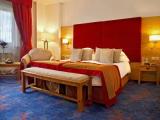 Deluxe Double room with city view