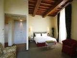 Single Junior Suite with river view