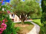 1 Bedroom Cottage