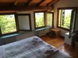 Standard Quadruple room with garden view