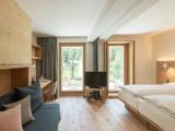 1 Bedroom Comfort Double room