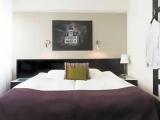 Standard room with park view