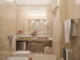 Luxury Apartment