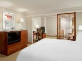 1 Bedroom Double Junior Suite with view