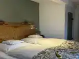 Single Junior Suite