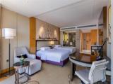 Executive Double room with river view