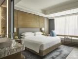 Standard Double Club room with city view