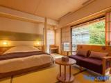 Standard Double room with river view