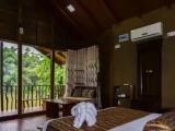 Standard Double room with balcony and with river view