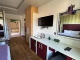 Deluxe Double Studio with garden view