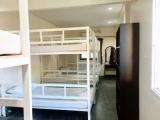 Bed in Dorm