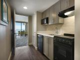 1 Bedroom Double Suite with view