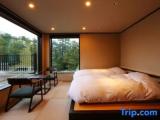 Deluxe Double Suite with garden view