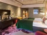 Standard room with mountain view