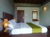 Deluxe Double room with mountain view