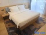 1 Bedroom Executive Suite