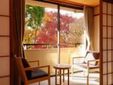 Standard Quadruple room with mountain view