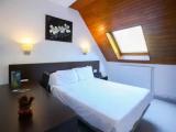 Standard Double Attic room