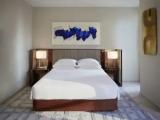 1 Bedroom Carnegie Suite