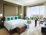 Executive Mangroves Suite